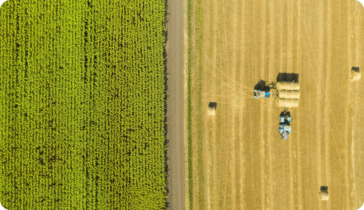 Agricultural Fields